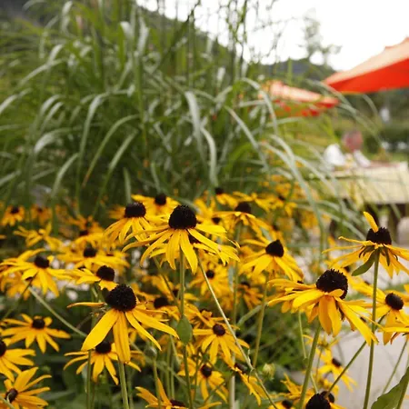 Stefaner Hotel Tiers am Rosengarten
